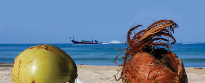 Tierfreischnauzes Likörchen